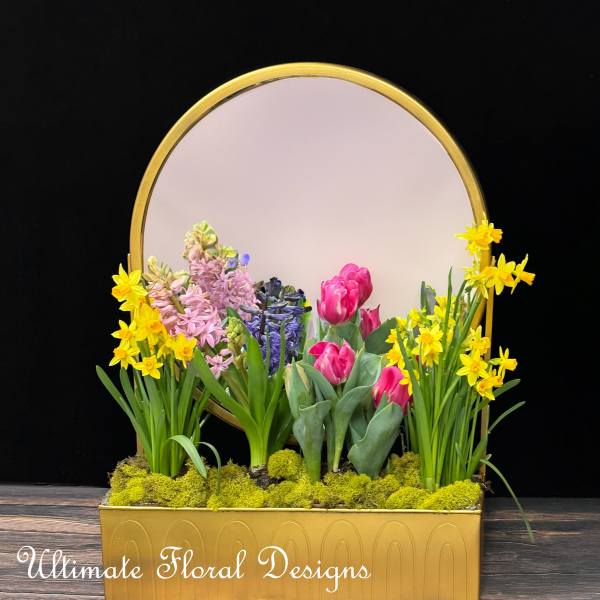 Spring Reflection Garden