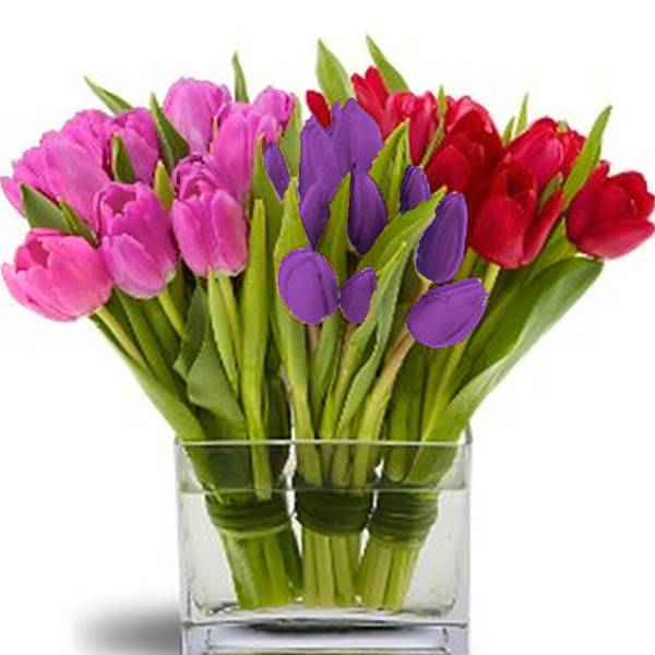 [TT-PRETTULIP]: PRETTY TULIP TRIO