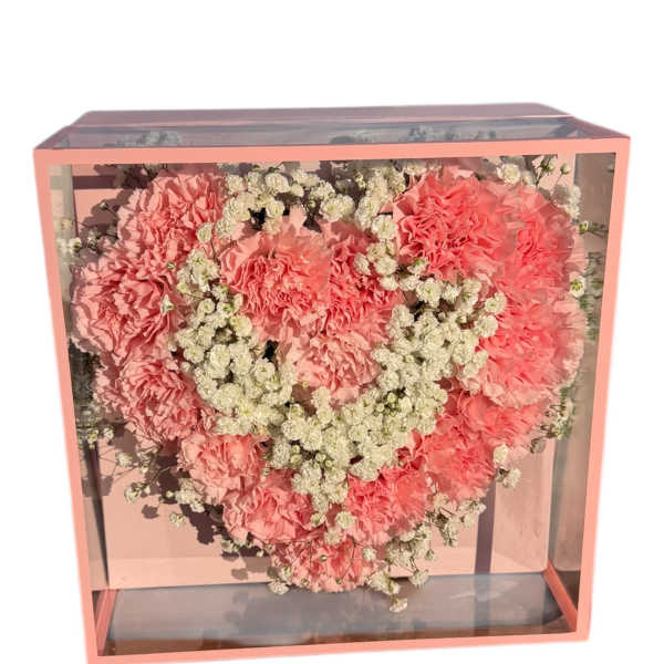 Pink carnation heart arrangement in a clear box with baby's breath