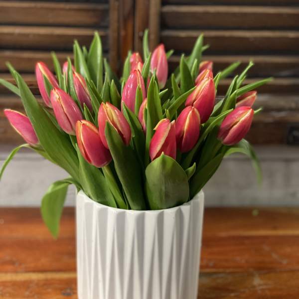 Pink tulips arranged in a white ribbed vase