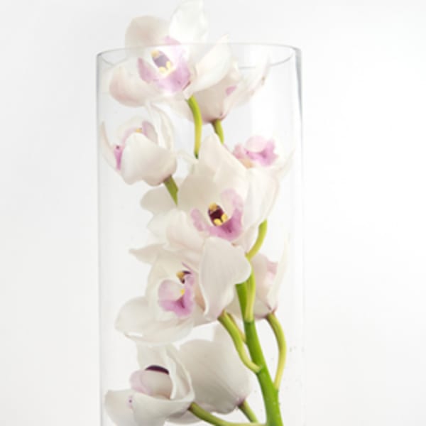 White and pink orchids in a clear glass cylinder vase with black stones