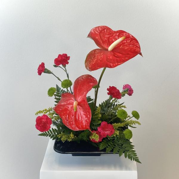 Paradise