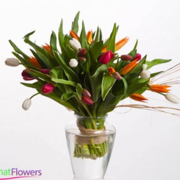 Bouquet of multicolored tulips in a clear glass vase