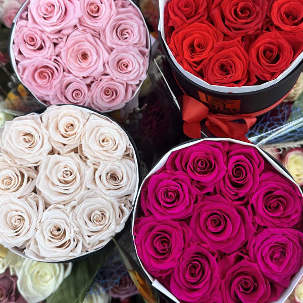 Four round boxes of roses in pink, red, white, and magenta.