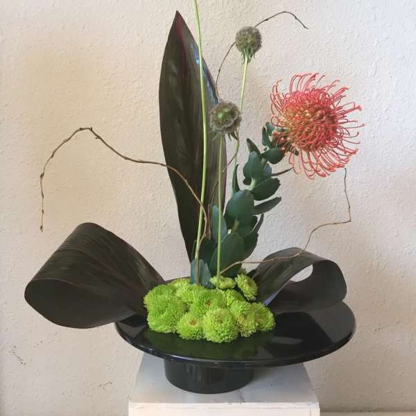 Pincushion Protea