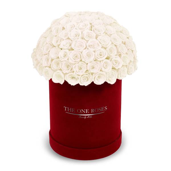 White rose bouquet in a red velvet hat box