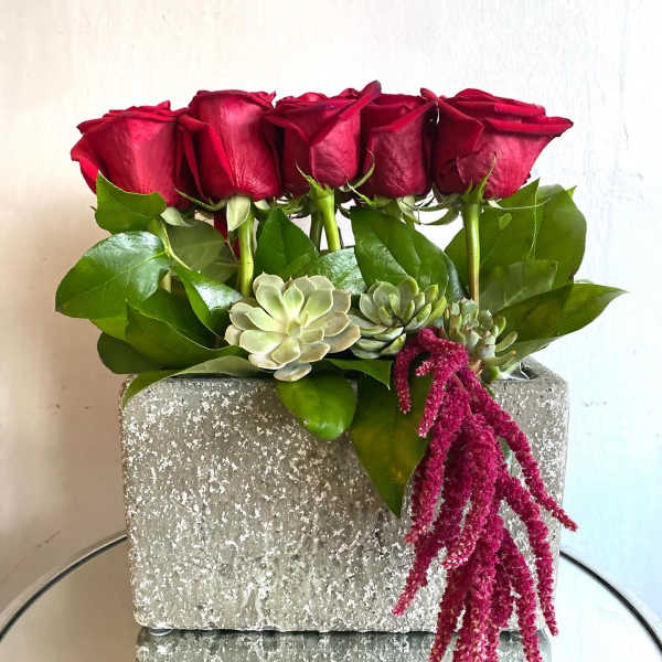 Red roses and succulents arranged in a gray rectangular planter