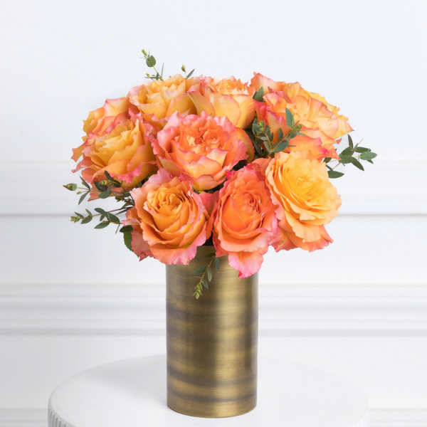 Soleil