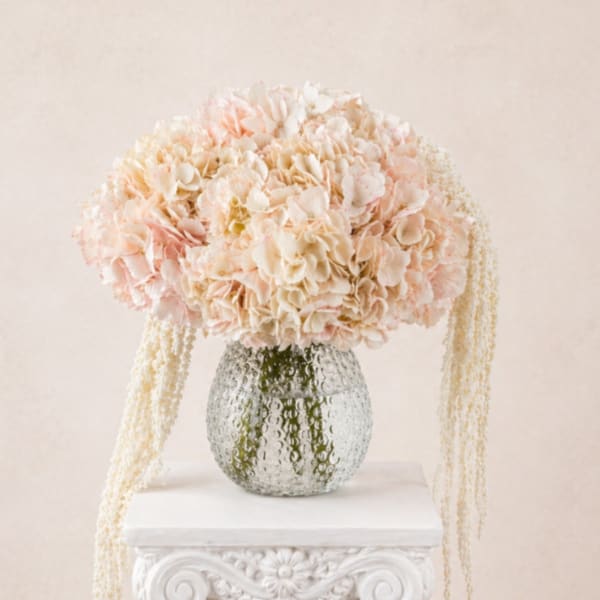 Mother's Love