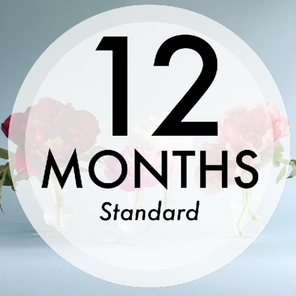 Bi-Weekly Flower Subscription - 12 Months