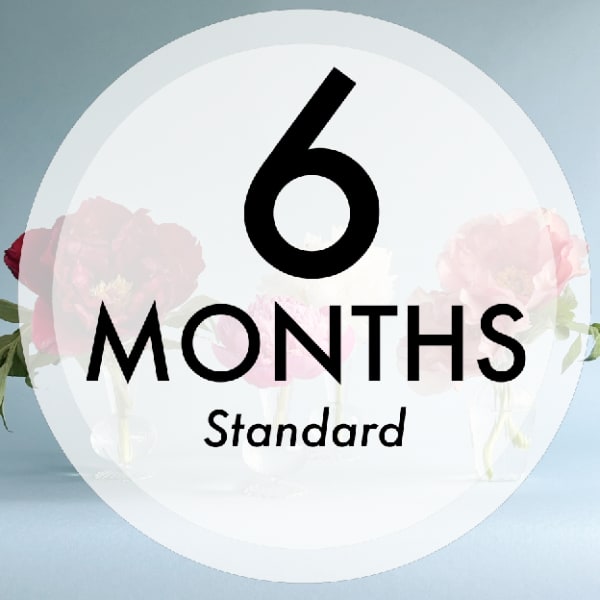 Weekly Flower Subscription - 6 Months