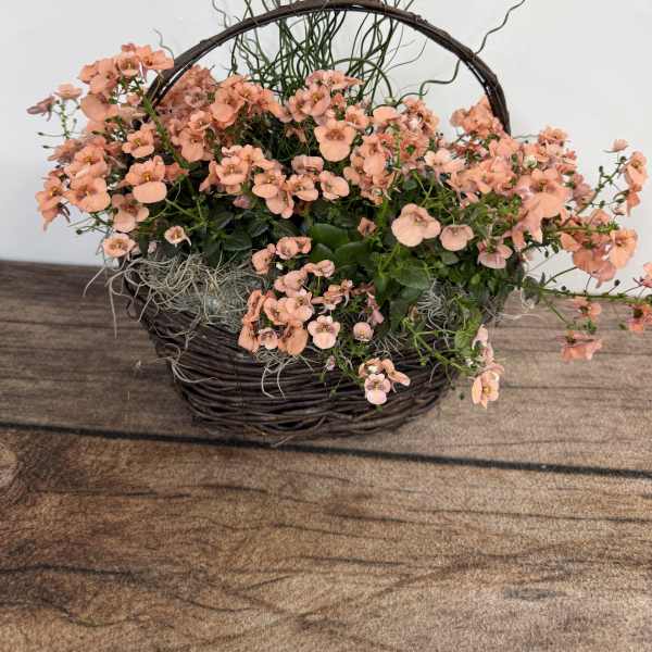 Annual Basket