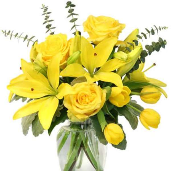 SUNSHINE OF SPRING