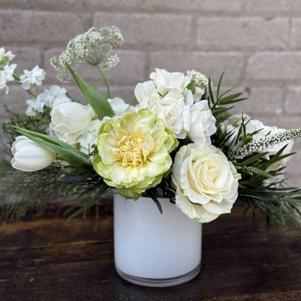 Fresh White