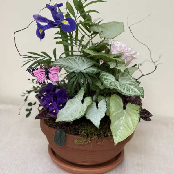 Mother’s Day Garden