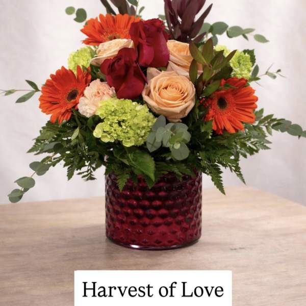 Harvest of Love