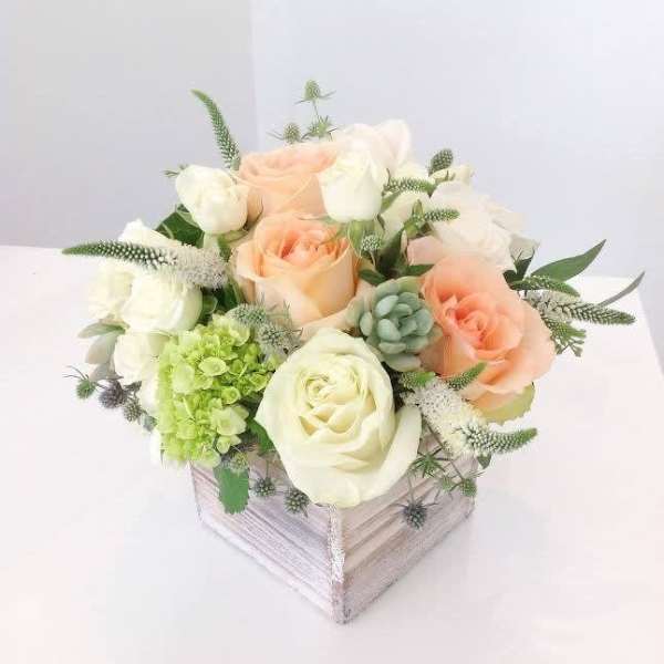 Peach and white roses arranged in a square box with green accents