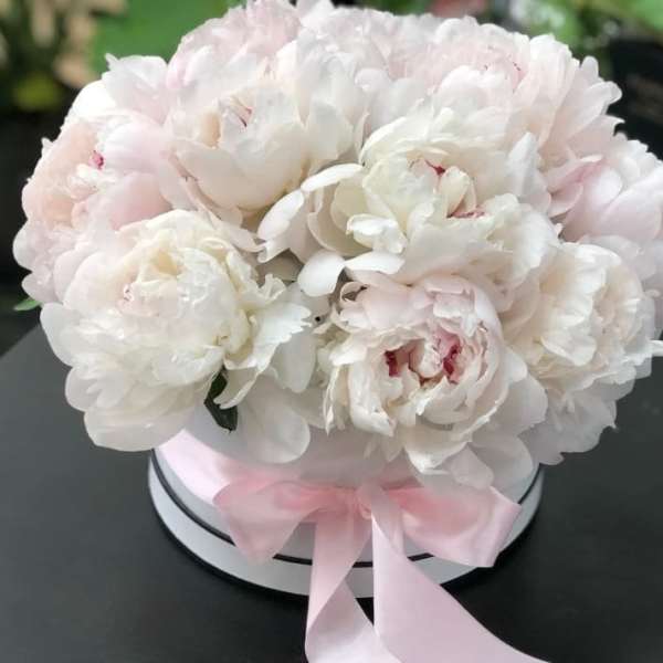 Peonies In A Hat Box. The photo shows a deluxe size.