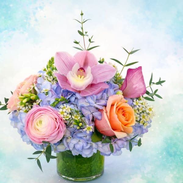 Bloom2377