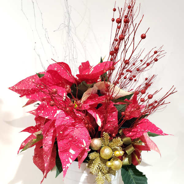 Poinsettia arrangement in a white pot with red and gold decorations
