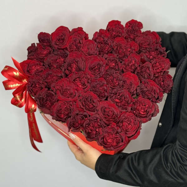 Tempestuous Red