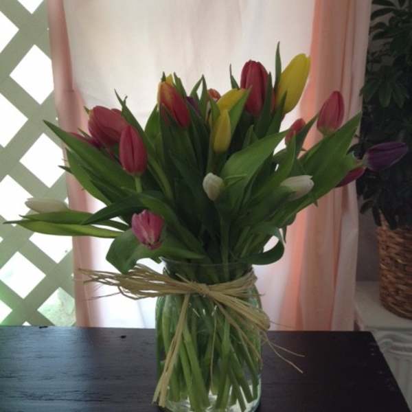 Tulips of Happiness