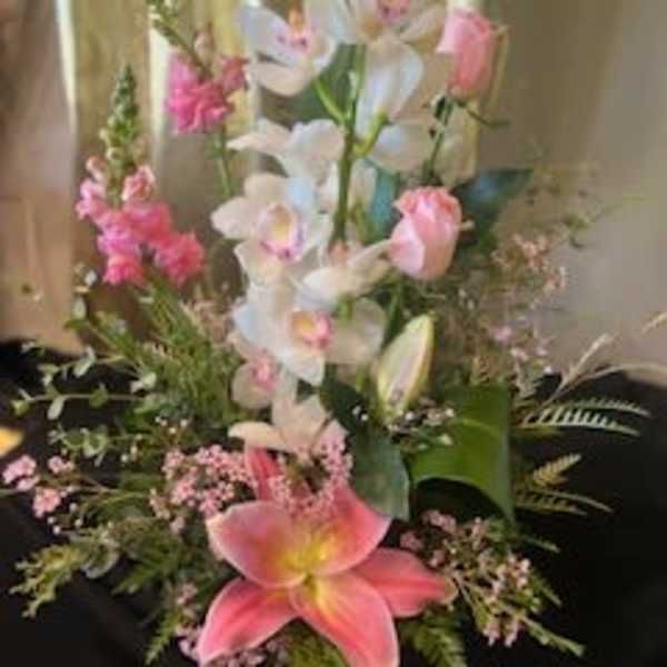 Wild Orchid