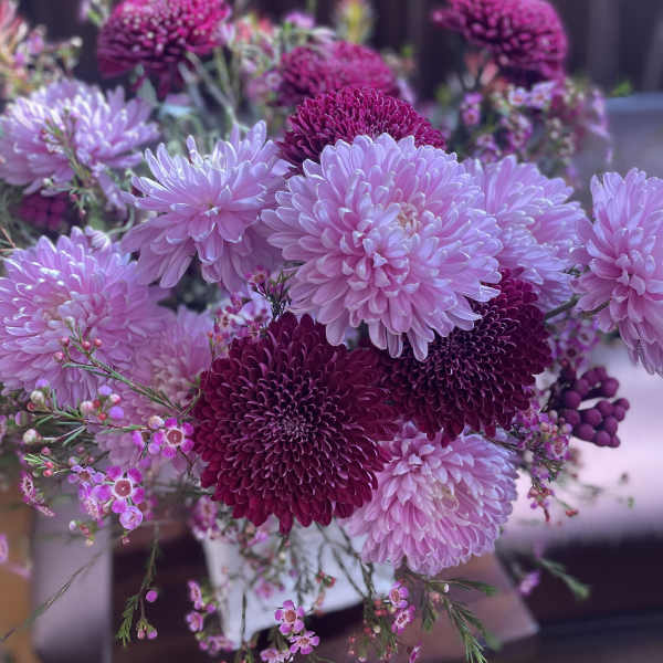 Bouquet of pink and magenta chrysanthemums with small pink filler flowers