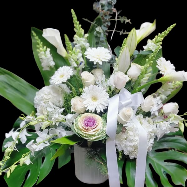 Peaceful white