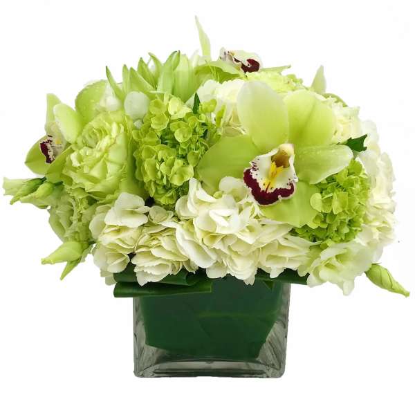 Green and white floral arrangement in a square glass vase
