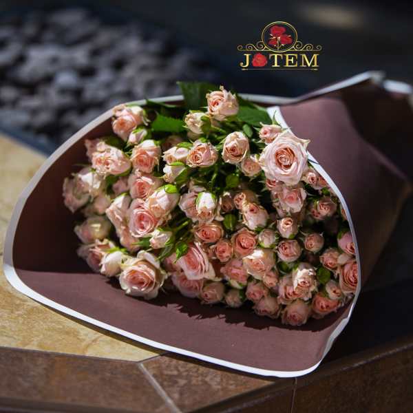 Bouquet of pale pink spray roses wrapped in dark paper