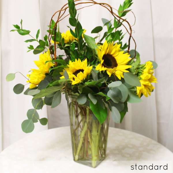 Sunflower Country