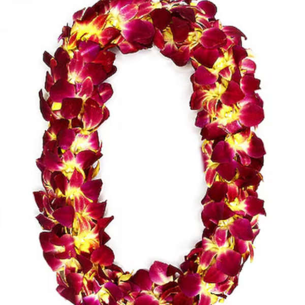 Hawaiian-style flower lei with deep pink petals and yellow centers