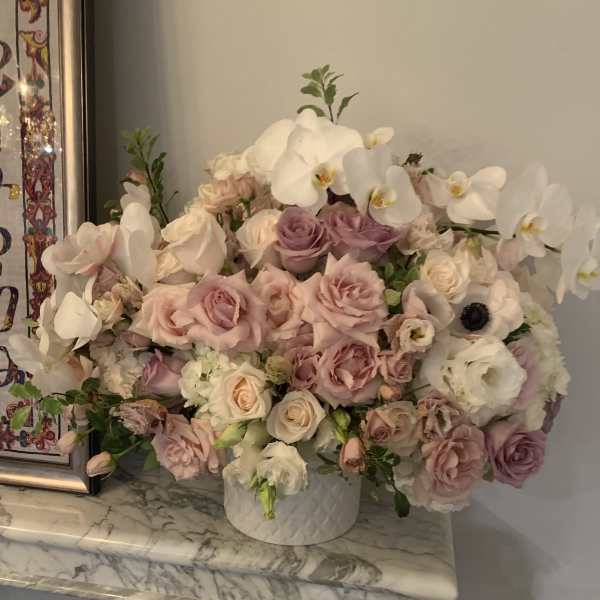 A touch of orchids