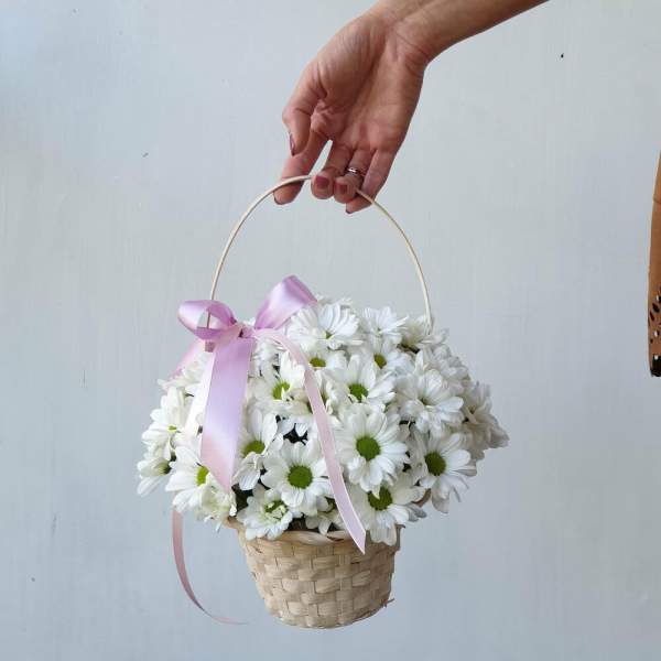 Basket of white daisies with a pink ribbon being held by a hand