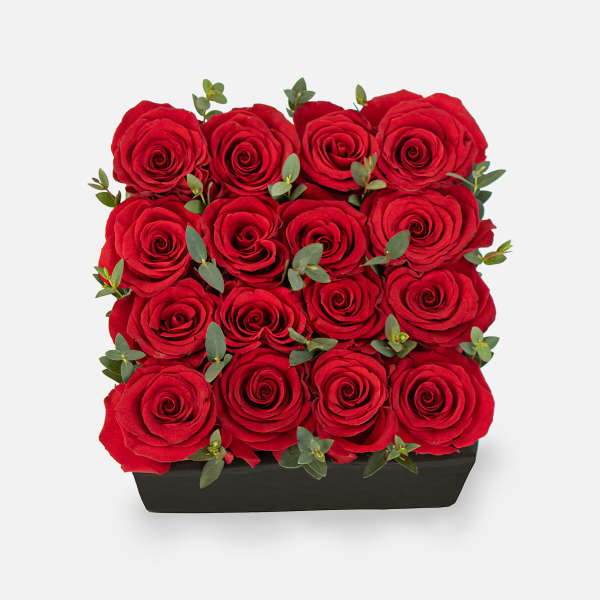 Red Rose Garden
