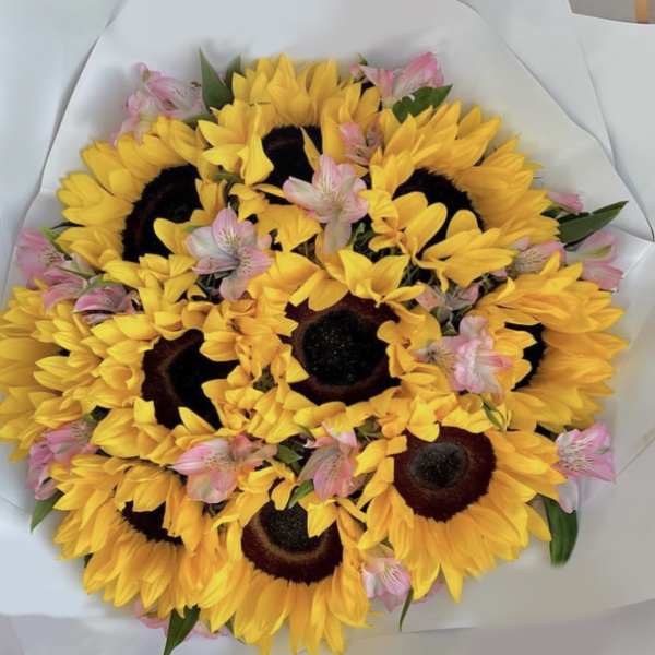 Sunshine Yellow