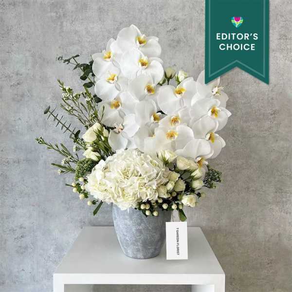 White orchid and hydrangea arrangement in a gray vase