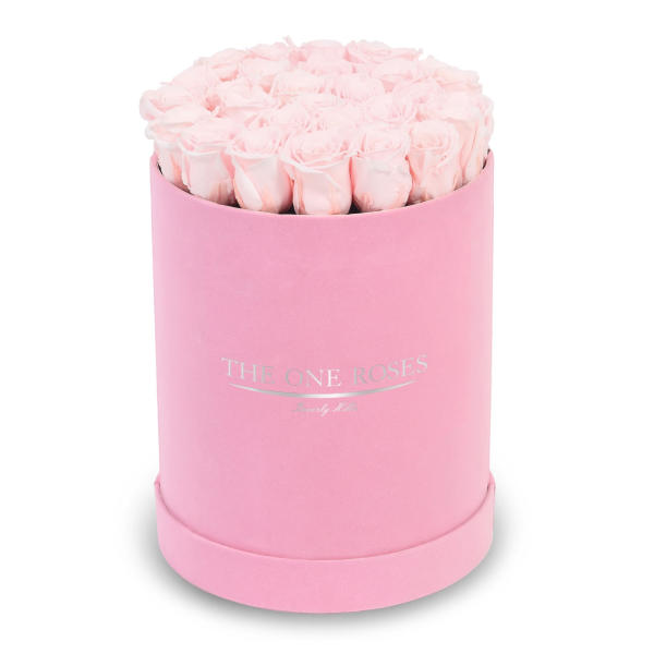 Light pink roses arranged in a pink round box