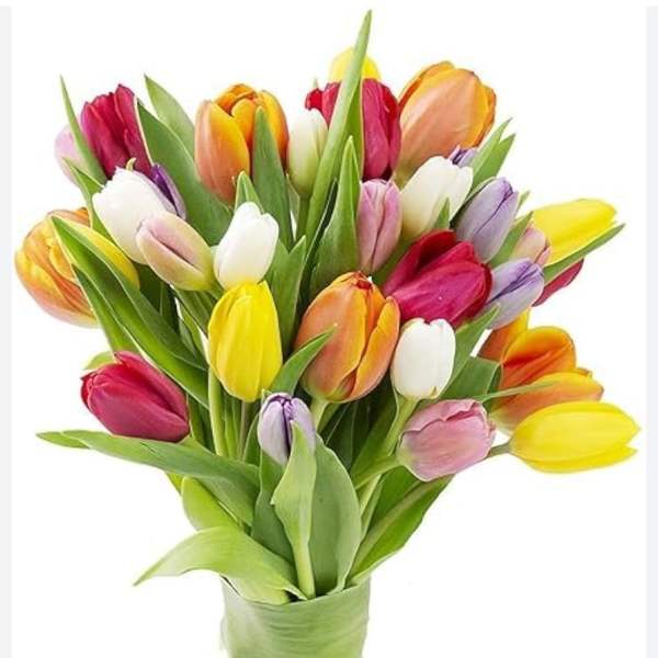 Spring Mixed Color Tulip Bouquet-3bounch