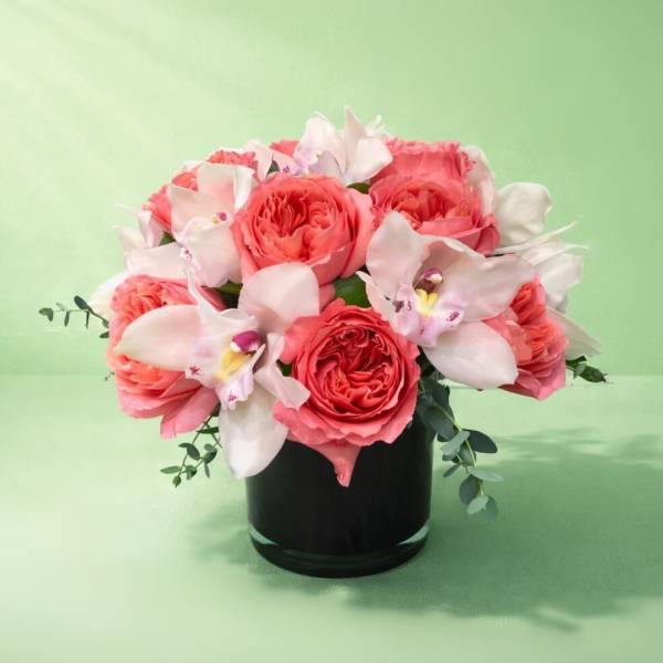 Coral Romance