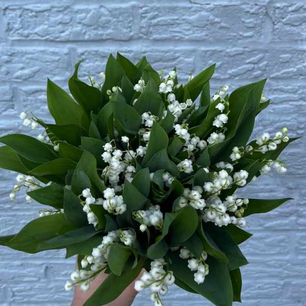 Handheld bouquet of white lily of the valley and green leaves