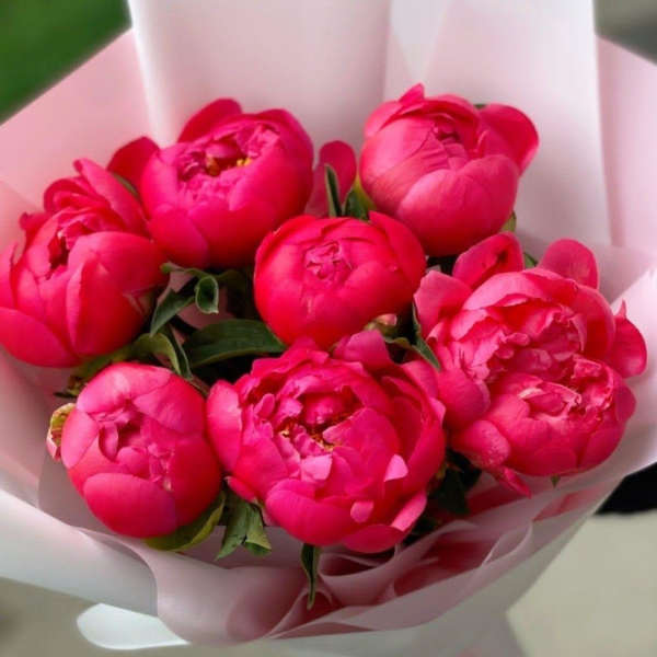 Premium Peony Bouquet (7 Stems) – Elegant Gift