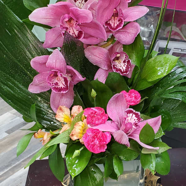 ORCHID BEAUTY