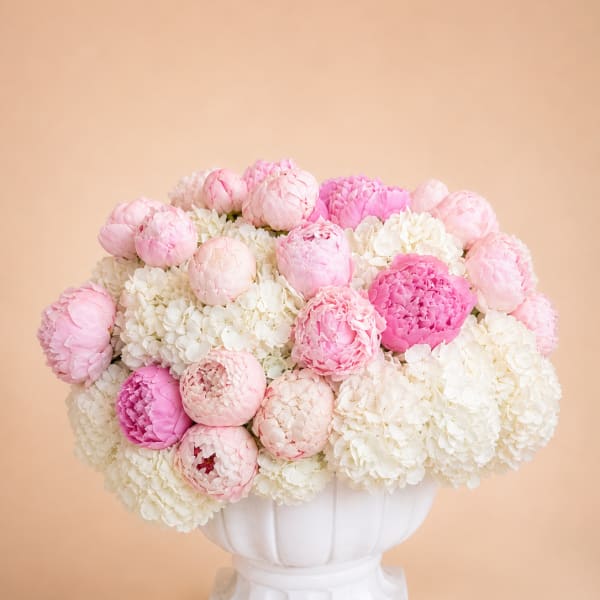 Peony Cloud