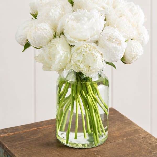 White Peonies