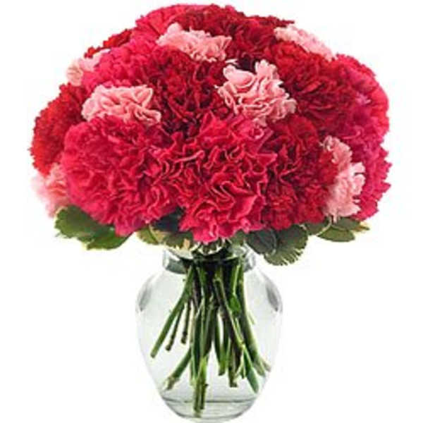 Pink and red carnations in a clear glass vase