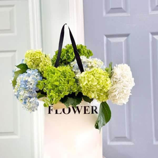 Hydrangea blooms in a white gift bag with black handles