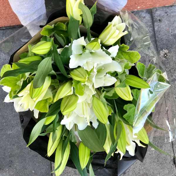 Bouquet of white lilies with green buds and leaves, wrapped in plastic
