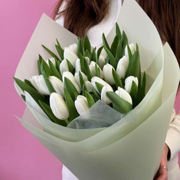 White Tulip Whisper. The photo shows the standard size.